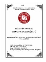 KINH NGHIỆM ỨNG DỤNG THƯƠNG mại điện tử của ALIBABA 