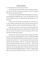 SKKN một số biện pháp thực hiện tốt công tác phổ cập giáo dục mầm non cho trẻ năm tuổi ở trường mầm non  (1) 