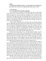 SKKN một số kinh nghiệm tổ chức các hoạt động lồng ghép giáo dục tình cảm và kỹ năng xã hội cho trẻ mẫu giáo 3 4 tuổib 