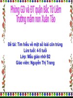 slide bài giảng tìm hiểu 1 số loại côn trùng 