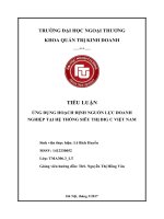 ỨNG DỤNG HOẠCH ĐỊNH NGUỒN lực DOANH NGHIỆP tại hệ THỐNG SIÊU THỊ BIG c VIỆT NAM 