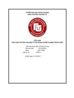 ỨNG DỤNG THƯƠNG mại điện tử tại DOANH NGHIỆP ALIBABA TRUNG QUỐC 