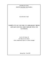 Nghiên cứu sự làm việc của shear key trong liên kết cột ống thép nhồi bê tông với sàn phẳng 
