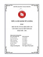 tiểu luận kinh tế lượng một số yếu tố tác động đến cán cân vãng lai (CA) việt nam giai đoạn 1995 – 2015 