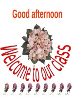 slide bài giảng unit 06  the young pioneer club  lesson 5  language focus 