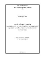 Nghiên cứu thực nghiệm hoạt động của cơ cấu cân bằng trọng lực 1 DOF dựa trên nguyên lý hoạt động của cơ cấu scotch yoke 