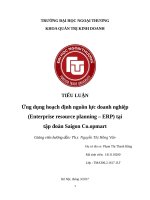 Ứng dụng hoạch định nguồn lực doanh nghiệp (enterprise resource planning – ERP) tại          tập đoàn saigon co opmart 
