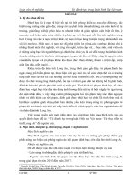 Tội đánh bạc trong luật Hình sự Việt nam