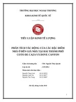 tiểu luận kinh tế lượng tác ĐỘNG của các đặc điểm NHÀ ở đến GIÁ NHÀ tại HAI THÀNH PHỐ COTO DE CAZA và DOVE CANYON 