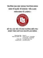 tiểu luận kinh tế lượng các yếu tố ẢNH HƯỞNG đến THU NHẬP THEO GIỜ của NGƯỜI LAO ĐỘNG 