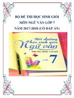 Bộ đề thi học sinh giỏi môn Ngữ văn lớp 7 năm 2017 2018 có đáp án