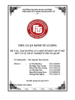 tiểu luận kinh tế lượng ảnh hưởng của một số biến số vĩ mô đến tỷ lệ thất nghiệp ở trung quốc 