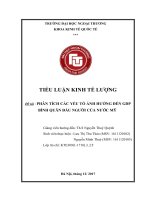 tiểu luận kinh tế lượng phân tích các yếu tố ảnh hưởng đến GDP bình quân đầu người của mỹ 
