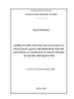 Luận văn thạc sĩ: Nghiên cứu sự tồn tại và nảy mầm của bào tử Bacillus aquimaris SH6 trong ruột tôm thẻ chân trắng và ảnh hưởng của bào tử lên một số chỉ tiêu miễn dịch của tôm