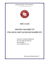 THƯƠNG mại điện tử ỨNG DỤNG ERP tại DOANH NGHIỆP FPT 