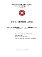 tiểu luận kinh tế lượng mô HÌNH PHÂN TÍCH các yếu tố ẢNH HƯỞNG đến TIỀN LƯƠNG 