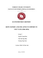 tiểu luận kinh tế lượng HOW EXPORT AND FDI AFFECTS IMPORT IN VIET NAM (1986 2018) 