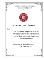 tiểu luận kinh tế lượng các yếu tố ảnh hƣởng đến chỉ số năng lực cạnh tranh cấp tỉnh (PCI) của 63 tỉnh, thành phố ở việt nam giai đoạn 2015 2017 