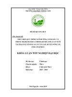 Thực hiện quy trình nuôi dưỡng, chăm sóc và phòng trị bệnh cho gà broiler mix (mix 4 c p) nuôi tại trại nguyễn hải an, xã tân lập, huyện sông lô, tỉnh vĩnh phúc 