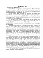 Nghiên cứu đặc điểm điện não đồ và một số đa hình trên gen COMT, ZNF804A ở bệnh nhân tâm thần phân liệt tt tiếng anh 