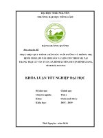 Thực hiện quy trình chăm sóc nuôi dưỡng và phòng trị bệnh cho lợn nái sinh sản và lợn con theo mẹ tại trang trại lê văn tuấn, xã bình xuyên, huyện bình giang, tỉnh hải dương 