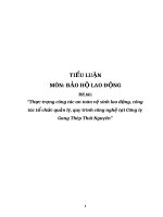 Tiểu luận Bảo hộ lao động: Thực trạng công tác an toàn vệ sinh lao động, công tác tổ chức quản lý, quy trình công nghệ tại Công ty Gang Thép Thái Nguyên
