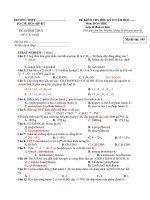 đề thi học kì 2 môn hóa 11_ có đáp án