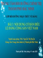 BÀI 3 - NỘI DUNG ĐIỀU LỆ ĐẢNG CỘNG SẢN VIÊT NAM