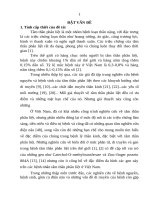 Nghiên cứu đặc điểm điện não đồ và một số đa hình trên gen COMT, ZNF804A ở bệnh nhân tâm thần phân liệt (TT VIET)