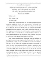 SÁNG KIẾN KINH NGHIỆM một số BIỆN PHÁP NÂNG CAO CHẤT LƯỢNG GIẢNG dạy mầm non