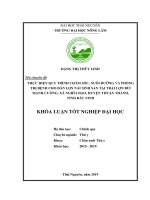 Thực hiện quy trình chăm sóc, nuôi dưỡng và phòng trị bệnh cho đàn lợn nái sinh sản tại trại lợn bùi mạnh cường, xã nghĩa đạo, huyện thuận thành, tỉnh bắc ninh 