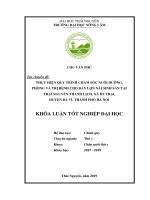 Thực hiện quy trình chăm sóc nuôi dưỡng, phòng và trị bệnh cho đàn lợn nái sinh sản nuôi tại trại nguyễn thanh lịch, xã ba trại, huyện ba vì, thành phố hà nội 