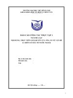 Báo cáo công tác thực tập thực tiễn giải quyết của tòa án về vấn đề ly hôn có yếu tố nước ngoài