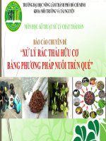 Bài thuyết trình môn Kỹ thuật xử lý chất thải rắn: Xử lý rác thải hữu cơ bằng phương pháp nuôi trùn quế