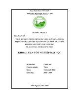 Thực hiện quy trình chăm sóc nuôi dưỡng và phòng trị bệnh cho lợn thịt nuôi tại trại công ty cổ phần khai thác khoáng sản thiên thuận tường, thành phố cẩm phả, tỉnh quảng ninh 