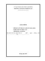 Giáo trình Kỹ thuật canh tác rau, hoa  Nghề: Bảo vệ thực vật (Cao đẳng)  CĐ Nghề Đà Lạt