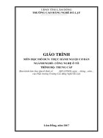 Giáo trình Thực hành Nguội cơ bản  Nghề: Công nghệ ôtô (Trung cấp)  CĐ Nghề Đà Lạt