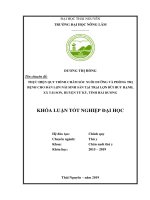 Thực hiện quy trình chăm sóc, nuôi dưỡng và phòng trị bệnh trên lợn nái sinh sản nuôi tại trại lợn bùi huy hạnh, xã tái sơn, huyện tứ kỳ, tỉnh hải dương 