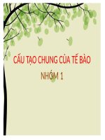 sinh học tế bào prokaryote và tế bào eukaryote