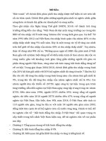 Bất bình đẳng thu nhập ở việt nam 