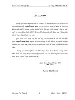 Luận văn sư phạm Nghiên cứu một số chỉ tiêu sinh lý và năng suất của hai giống cải củ Hà Nội và Trung Quốc dưới ảnh hưởng của các công thức bón phân