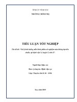 tiểu luận tốt nghiệp lớp chuyên viên quản lý nhà nước