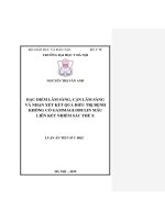 Luận án tiến sĩ y học  đặc điểm lâm sàng, cận lâm sàng và nhận xét kết quả điều trị bệnh không có gammaglobulin máu liên kết nhiễm sắc thể x 