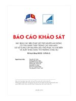 Báo cáo thực với hỗ trợ Liên minh châu Âu Những quan điểm nêu báo cáo nhóm tác giả, khơng phản ánh quan điểm thức Bộ Công Thương hay Liên minh châu Âu