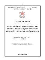 Tóm tắt luận án tiến sĩ y học  đánh giá tính đa hình vùng HV1, HV2 trên DNA ty thể ở một số dân tộc và bệnh nhân ung thư vú người việt nam 