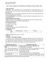 Giáo án tự chọn Ngữ văn 10