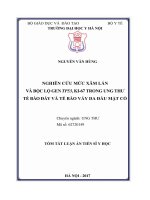 Tóm tắt luận án tiến sĩ y học  nghiên cứu mức xâm lấn và bộc lộ p53, ki 67 trong ung thư tế bào đáy và tế bào vảy vùng da đầu mặt cổ 