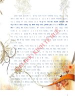 Khóa luận tốt nghiệp: Lập kế hoạch kinh doanh xe đạp điện cho công ty ECO Duy Trí phân phối tại Thành phố Huế