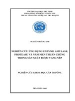 Báo cáo nghiên cứu khoa học cấp trường: Hoàn thiện quy trình sản xuất rượu vang nếp trắng bằng enzyme và nấm men thuần chủng