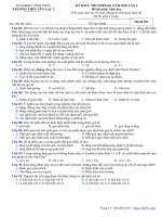 Đề KSCL thi THPT 2020 lần 3 môn Sinh học trường THPT Yên Lạc 2 – Vĩnh Phúc